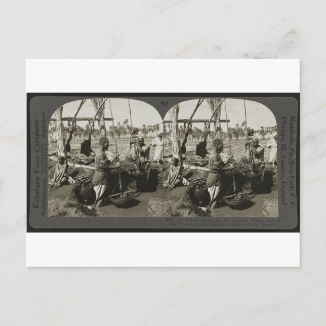 Cartão Postal Levantando água do Nilo no Egito por volta de 1928 (Frente)