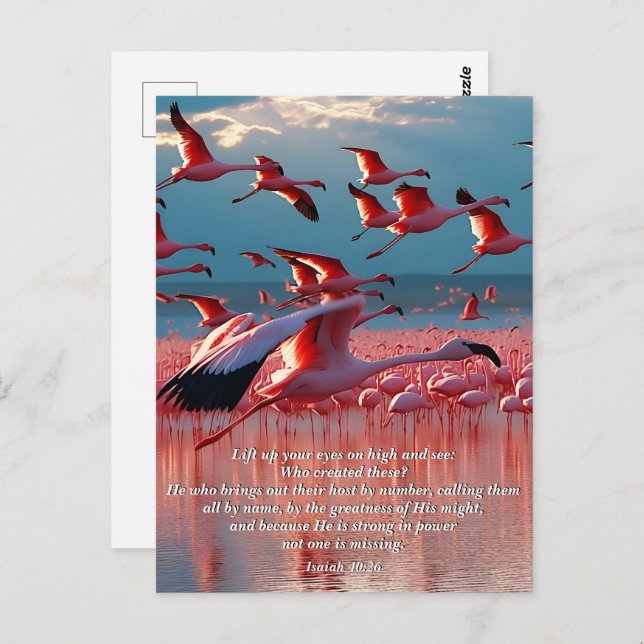 Cartão Postal Levante Os Olhos No Alto, Deus E Criação Verso (Frente/Verso)