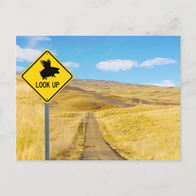 Cartão Postal Levante Os Olhos Para Os Suínos. (Frente)