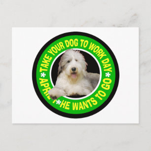 CARTÃO POSTAL LEVE A SUA COLLIE PARA O DIA DE TRABALHO