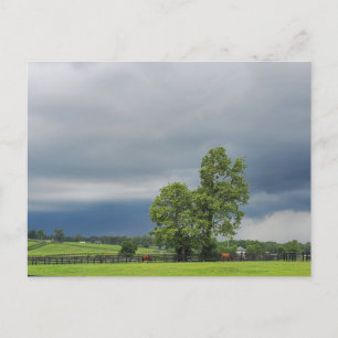 Cartão Postal Lexington, Kentucky