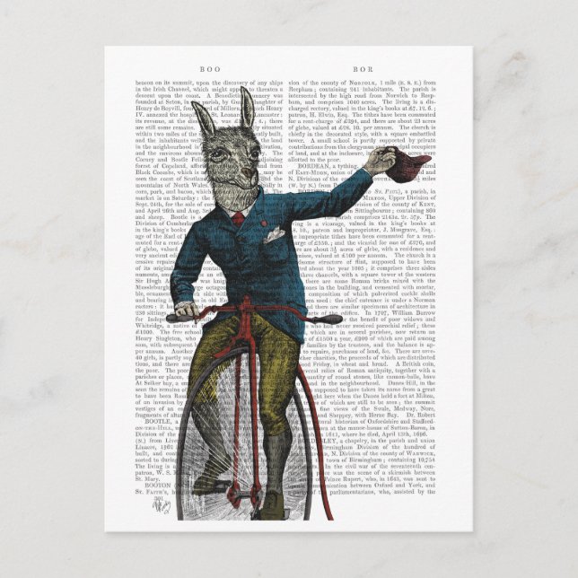 Cartão Postal Lhama de Bicicleta (Frente)