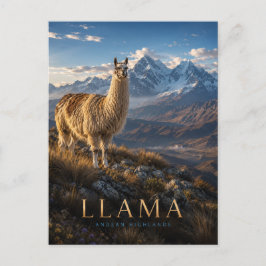 Cartão Postal Lhama Planalto Andino ANIMAIS