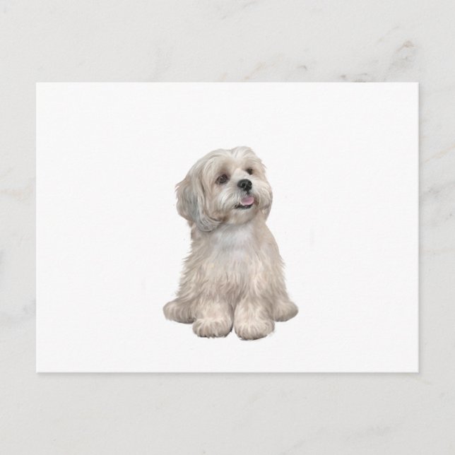 Cartão Postal Lhasa Apso (C) - Dourado claro (Frente)