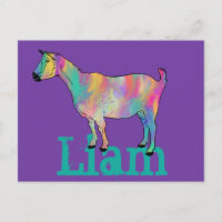 Liam Add Name Gato Colorido Gato Bastante Legal Ar