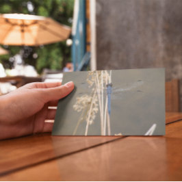 Cartão Postal libélula azul