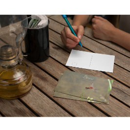 Cartão Postal Libélula vermelha descansando em uma palha