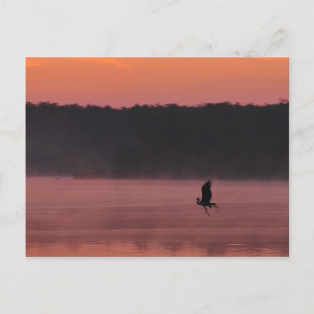 Cartão Postal Liberdade (Frente)