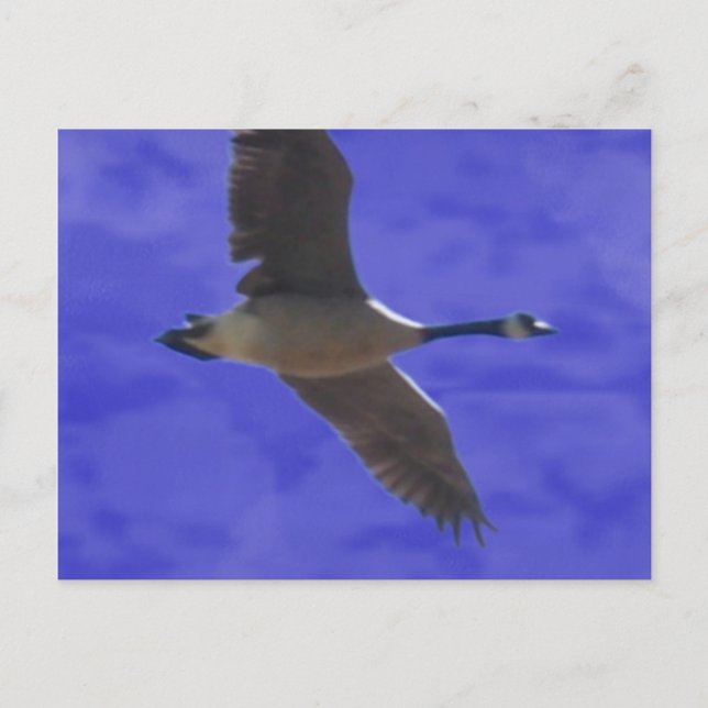 Cartão Postal Liberdade Chamando (Frente)