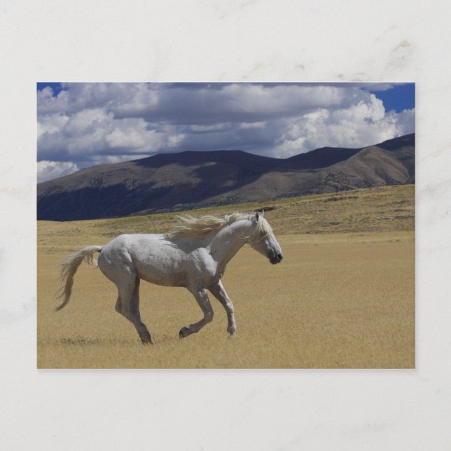 Cartão Postal Liberdade Em Ação (Frente)