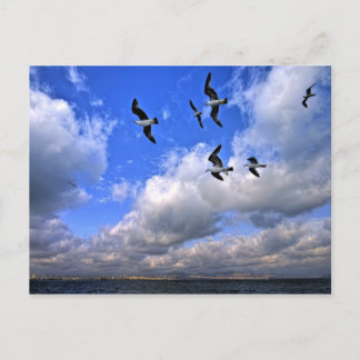 Cartão Postal Liberdade Voando Jogou Nossas Asas