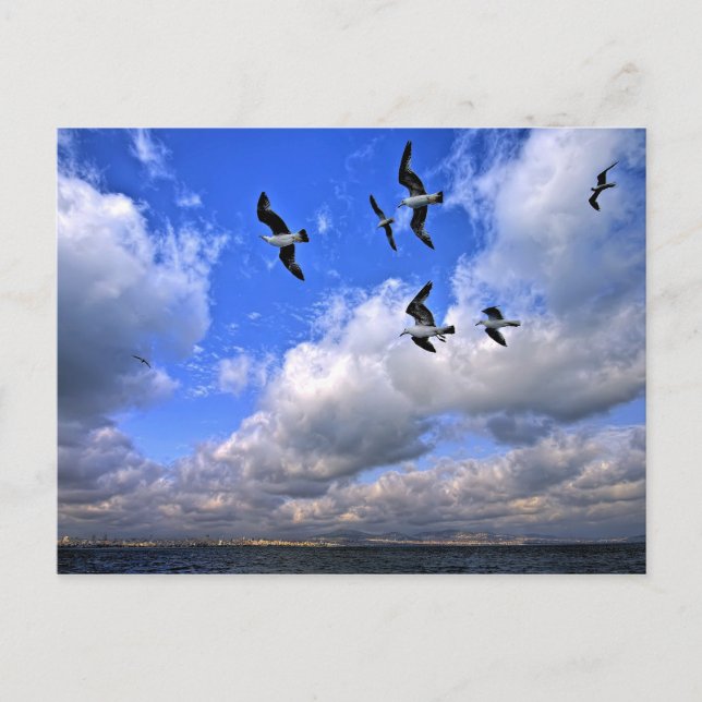 Cartão Postal Liberdade Voando Jogou Nossas Asas (Frente)