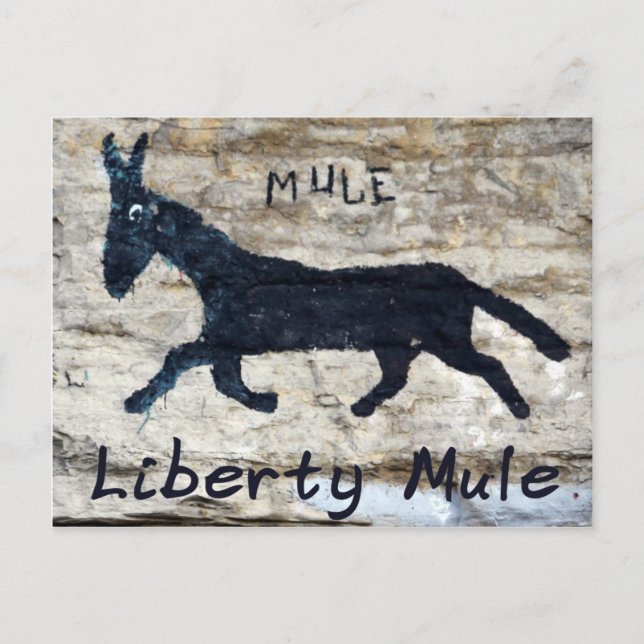 Cartão Postal Liberty Mule - Liberdade, TN (Frente)