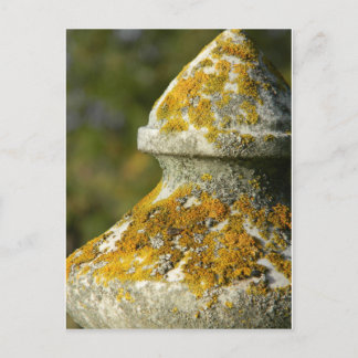 Cartão Postal Lichen Cemitério Obelisk coberto
