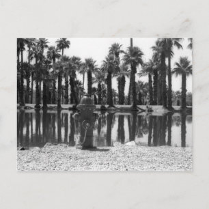 Cartão Postal Lições de natação