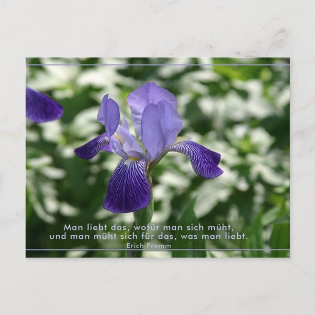 Cartão Postal Liebe (Frente)