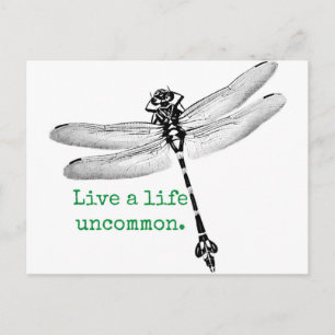 Cartão Postal Life Uncommon Dragonfly