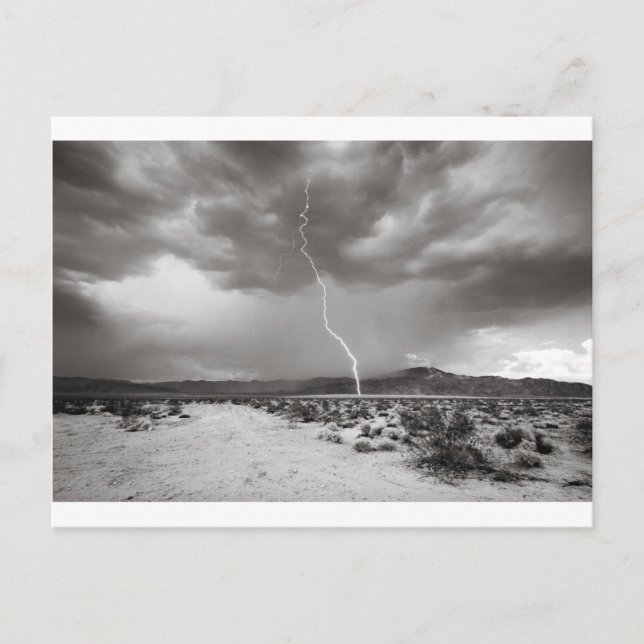 Cartão Postal Lightning Joshua Tree B&W (Frente)
