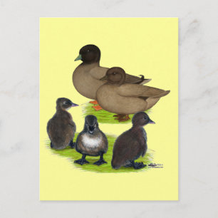 Cartão Postal Ligue para a família Duck Khaki