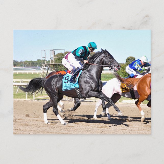 Cartão Postal Ligue pro Kenny (Frente)