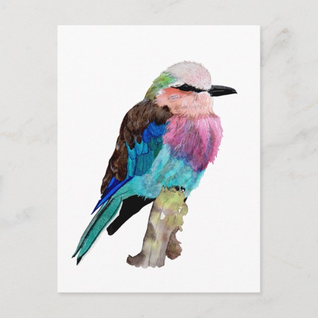 Cartão Postal Lilac Brested Roller Bird (Frente)