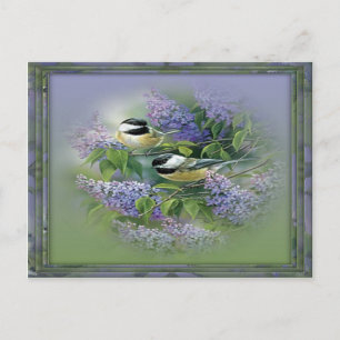 Cartão postal Lilacs & Birds