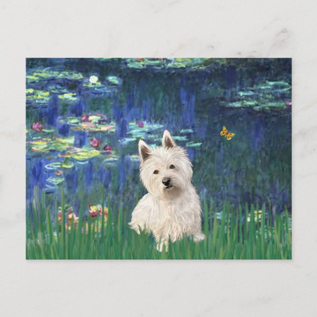 Cartão Postal Lilias 5 - Westie 1 (Frente)