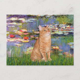 Cartão Postal Lilies 2 - Gato listrado laranja 46