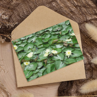 Cartão Postal Lillies de Água