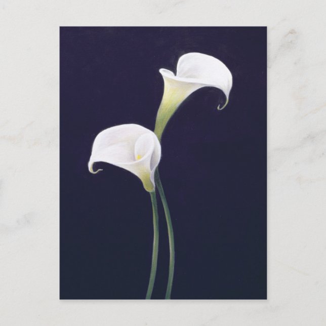 Cartão Postal Lily (Frente)