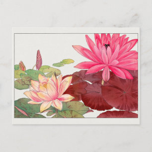 Cartão Postal Lily de água de Tanigami Konan