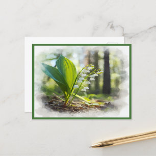Cartão Postal Lily do vale National Flower Finlândia