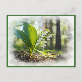 Cartão Postal Lily do vale National Flower Finlândia |