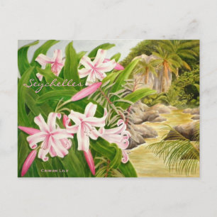 Cartão Postal Lily Seicheles