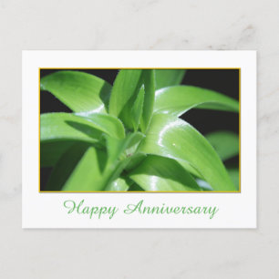 Cartão Postal Lily verde-primavera, nova, deixa feliz aniversári