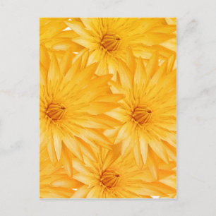 Cartão Postal Lily yellow classy