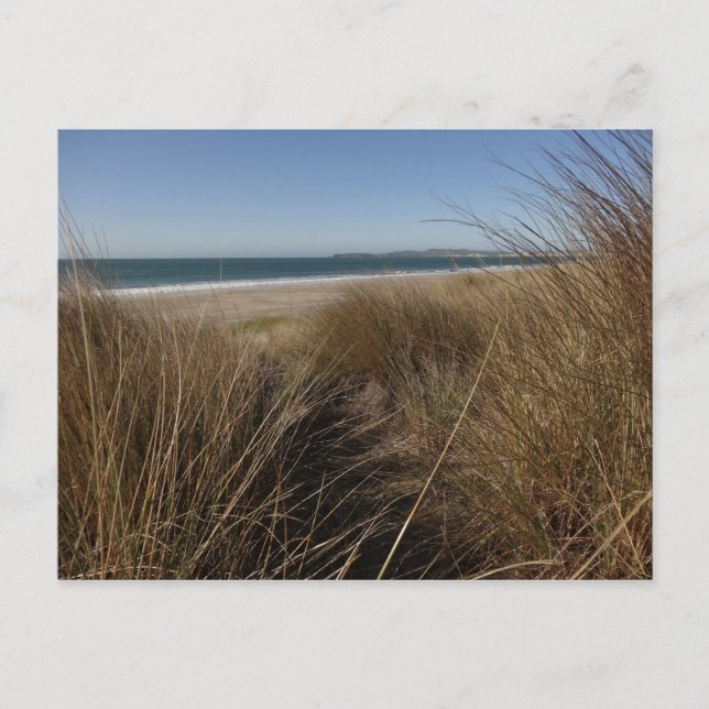 Cartão Postal Limantour Beach em Point Reyes National Seashore I (Frente)