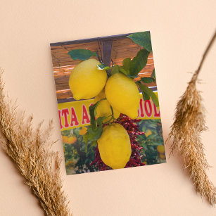 Cartão Postal Limão-Vinho Em Positano Itália