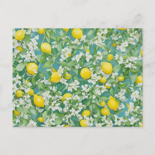 Cartão Postal Limões e Flores Brancas