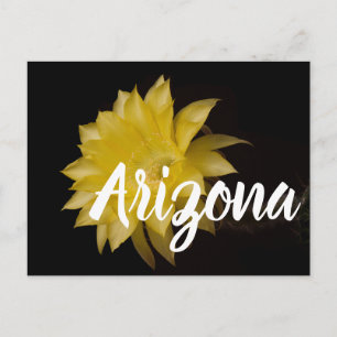 Cartão Postal Limon Pie Cactus Flower Delight, Arizona