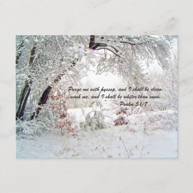 Cartão Postal Limpe-me com o hyssop, e serei limpo: lavem-me (Frente)