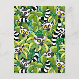 Cartão Postal Limures de Madagáscar na selva exótica