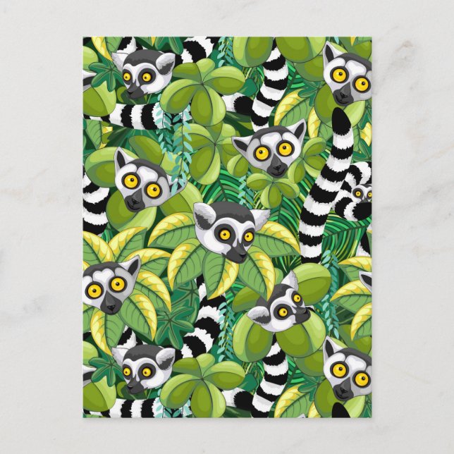 Cartão Postal Limures de Madagáscar na selva exótica (Frente)