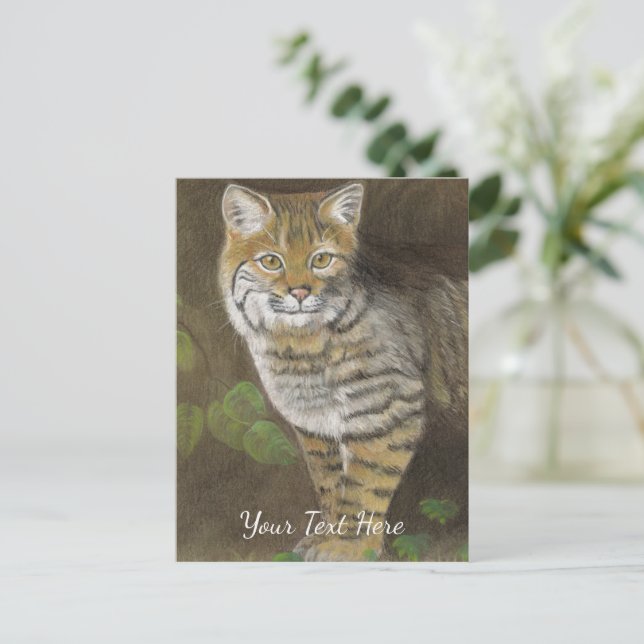 Cartão Postal Lince (Em pé/Frente)