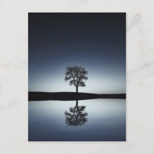 Cartão Postal Linda árvore solitária refletida no lago à noit
