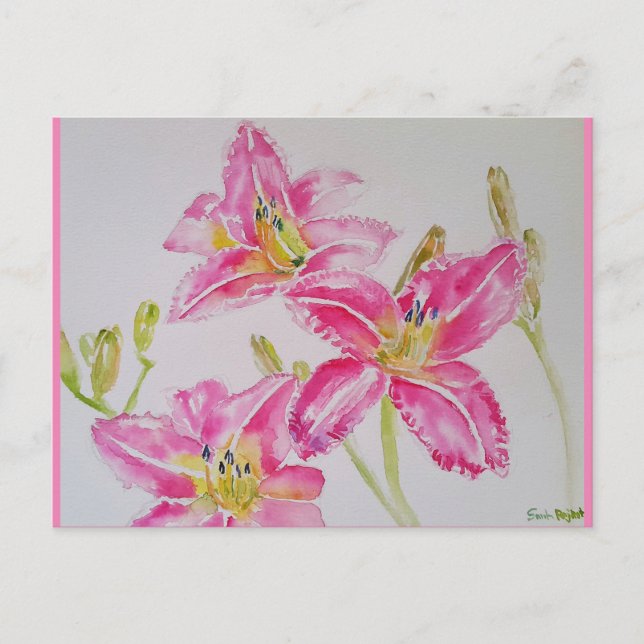 Cartão Postal Linda Flor de Lírio em Rosa em Pintura em Aquarela (Frente)