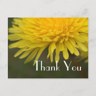 Cartão Postal Linda flor silvestre amarela dandelion obrigado