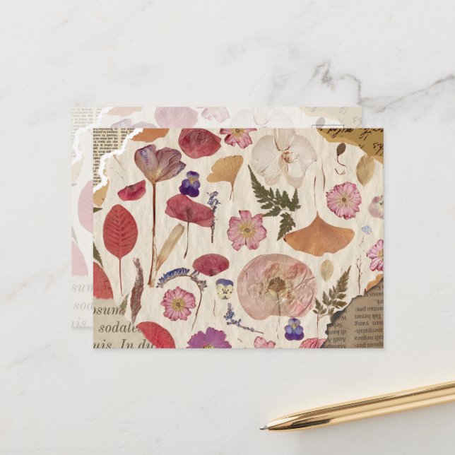 Cartão Postal Linda Floral Pressa (Frente/Verso In Situ)