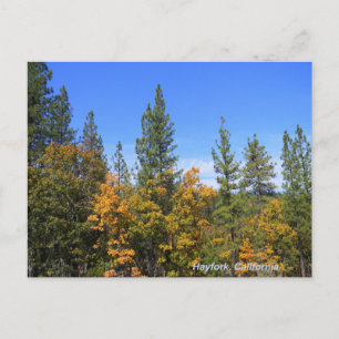 Cartão Postal Linda Hayfork, Califórnia...