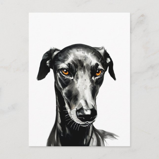 Cartão Postal Linda ilustração de Galgo Negro para Cachorros Ama (Frente)